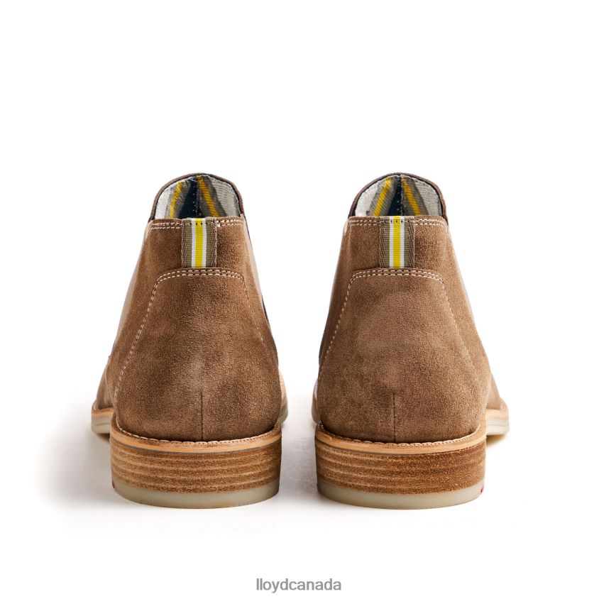 DALBY LLOYD Men brown R084ZF456 Shoes