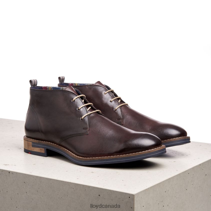 DANIEL LLOYD Men brown R084ZF168 Shoes