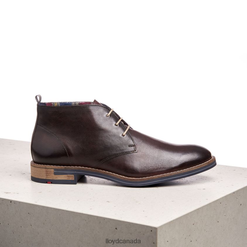 DANIEL LLOYD Men brown R084ZF168 Shoes