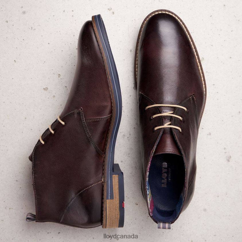 DANIEL LLOYD Men brown R084ZF168 Shoes