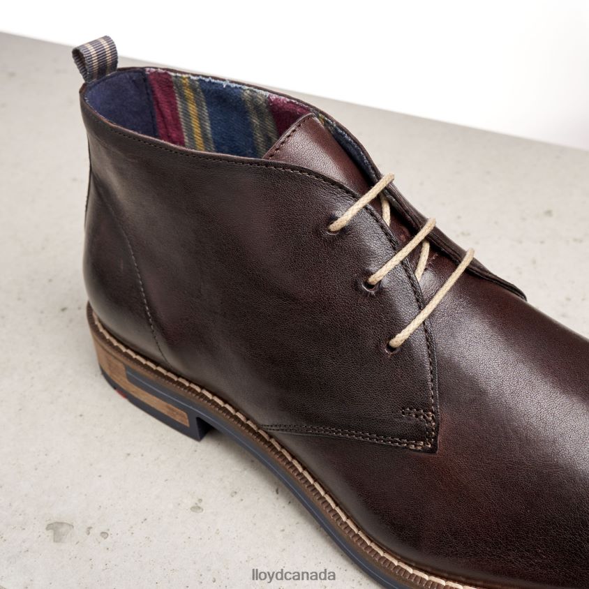 DANIEL LLOYD Men brown R084ZF168 Shoes