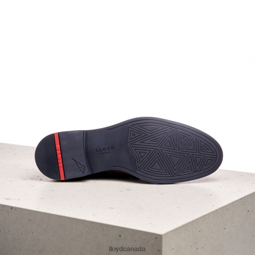 DANIEL LLOYD Men brown R084ZF168 Shoes