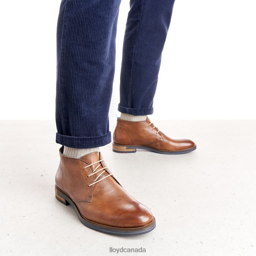DANIEL LLOYD Men brown R084ZF549 Shoes