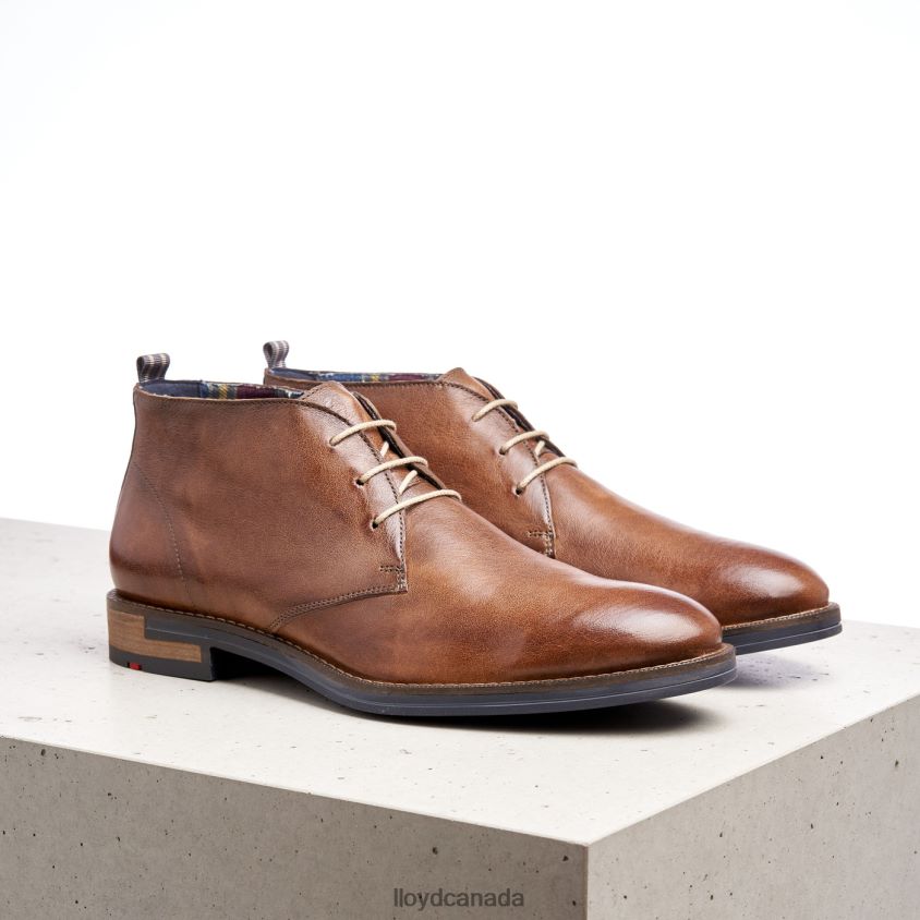 DANIEL LLOYD Men brown R084ZF549 Shoes