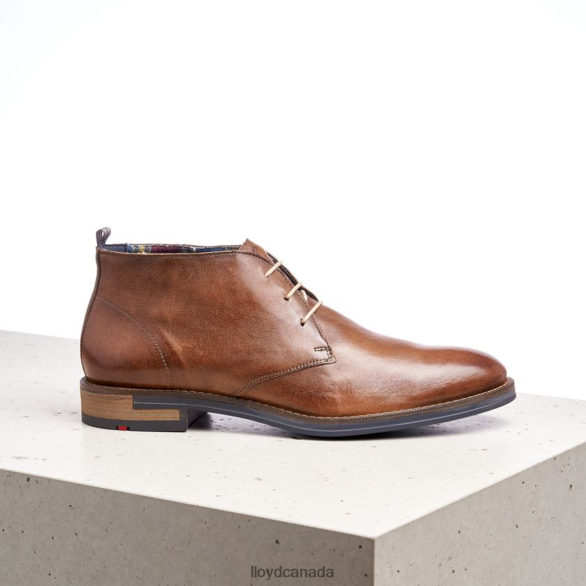 DANIEL LLOYD Men brown R084ZF549 Shoes