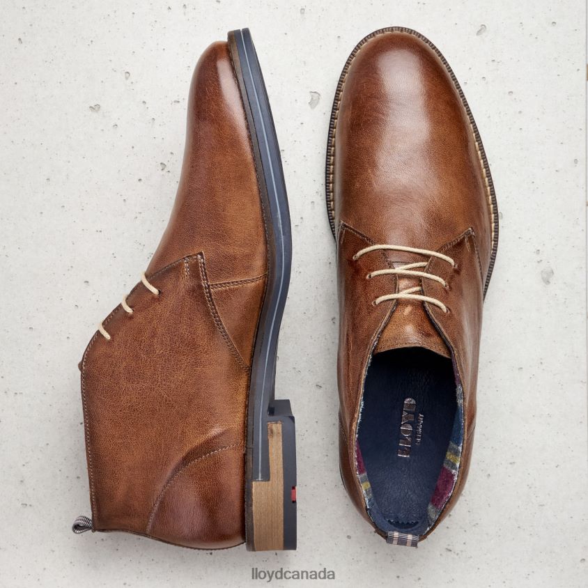 DANIEL LLOYD Men brown R084ZF549 Shoes