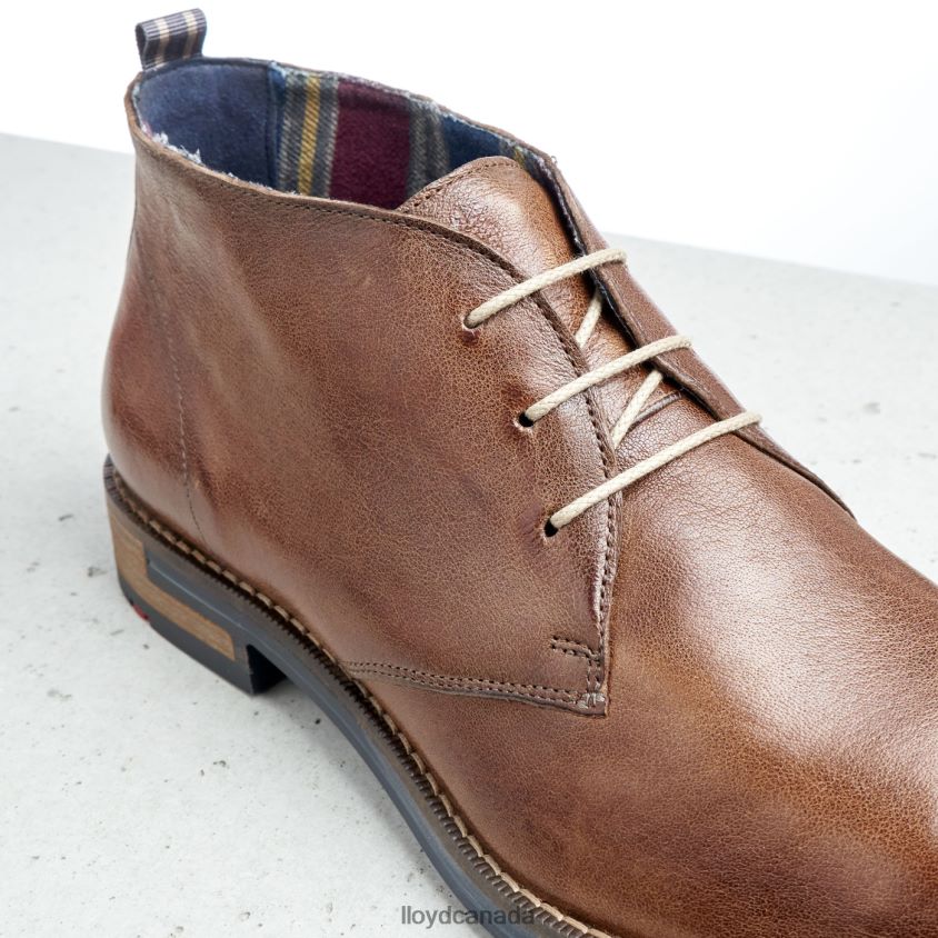 DANIEL LLOYD Men brown R084ZF549 Shoes