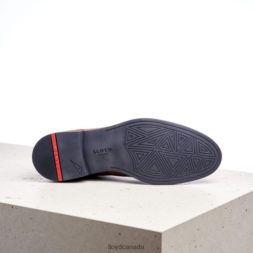 DANIEL LLOYD Men brown R084ZF549 Shoes