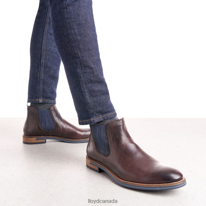 DARIO LLOYD Men brown R084ZF1342 Shoes