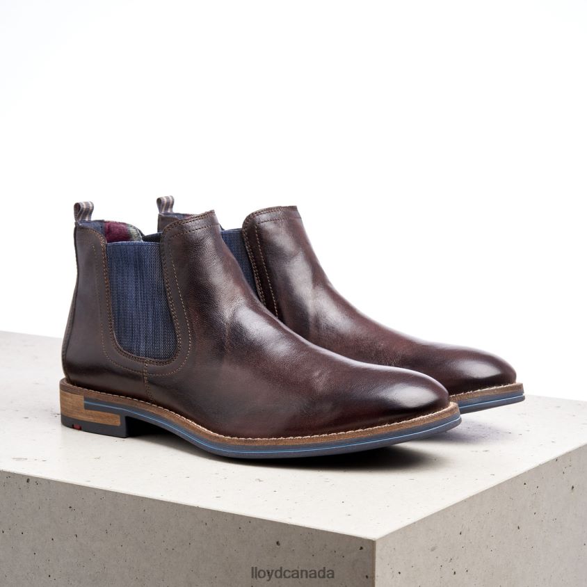 DARIO LLOYD Men brown R084ZF1342 Shoes