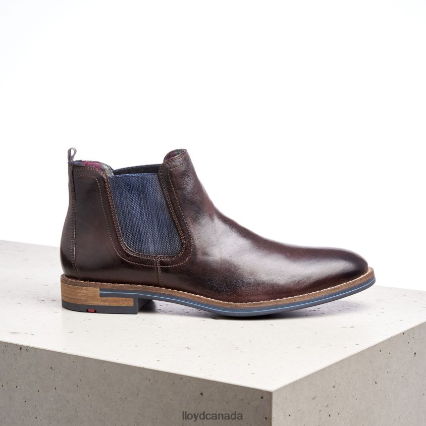 DARIO LLOYD Men brown R084ZF1342 Shoes