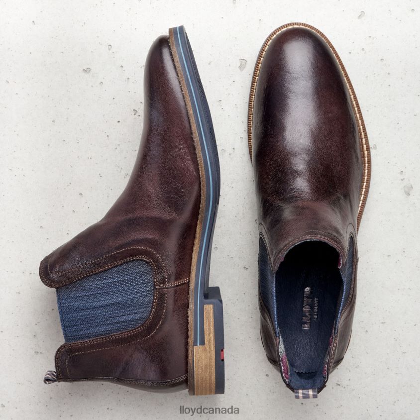 DARIO LLOYD Men brown R084ZF1342 Shoes