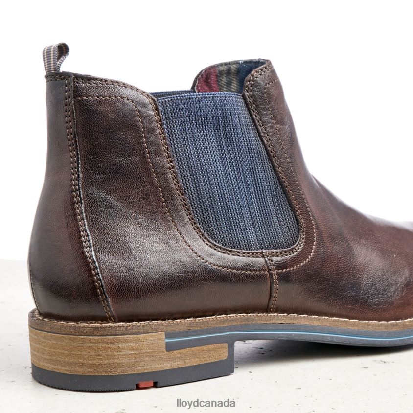 DARIO LLOYD Men brown R084ZF1342 Shoes