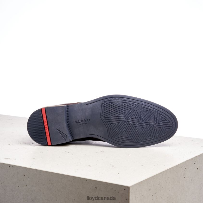 DARIO LLOYD Men brown R084ZF1342 Shoes