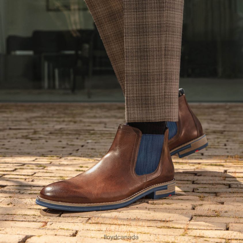 DARIO LLOYD Men brown R084ZF1343 Shoes