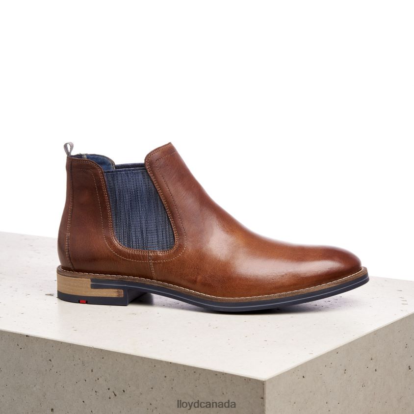 DARIO LLOYD Men brown R084ZF1343 Shoes