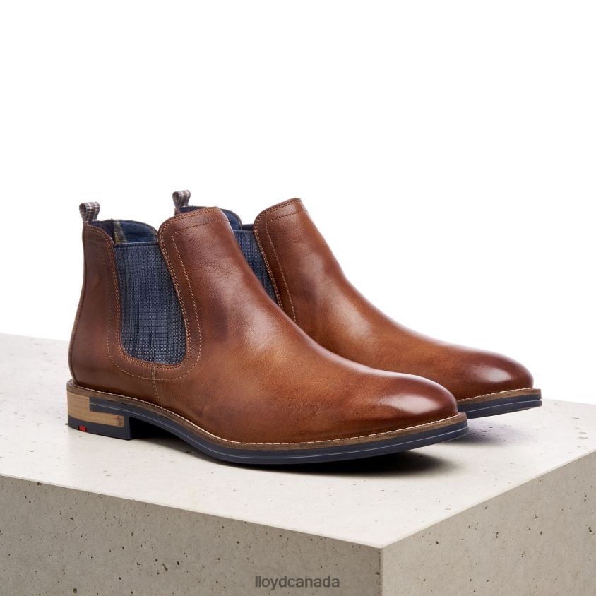 DARIO LLOYD Men brown R084ZF1343 Shoes