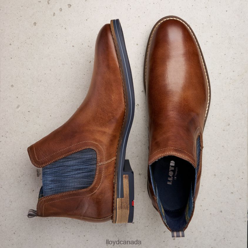 DARIO LLOYD Men brown R084ZF1343 Shoes