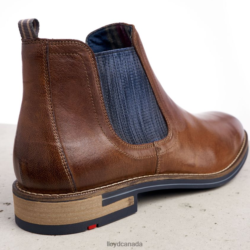 DARIO LLOYD Men brown R084ZF1343 Shoes