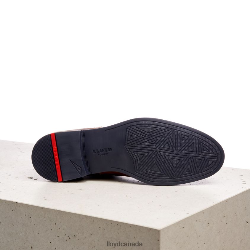 DARIO LLOYD Men brown R084ZF1343 Shoes