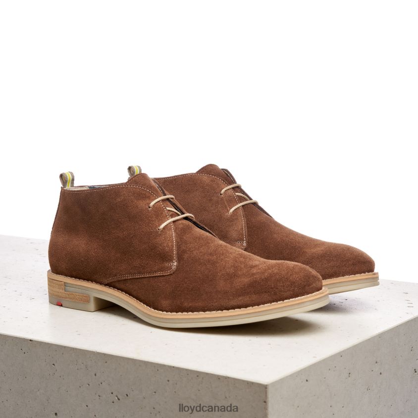 DARIUS LLOYD Men brown R084ZF559 Shoes