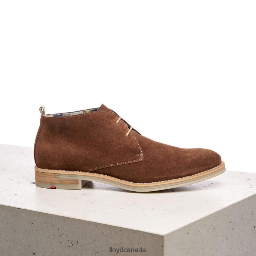 DARIUS LLOYD Men brown R084ZF559 Shoes