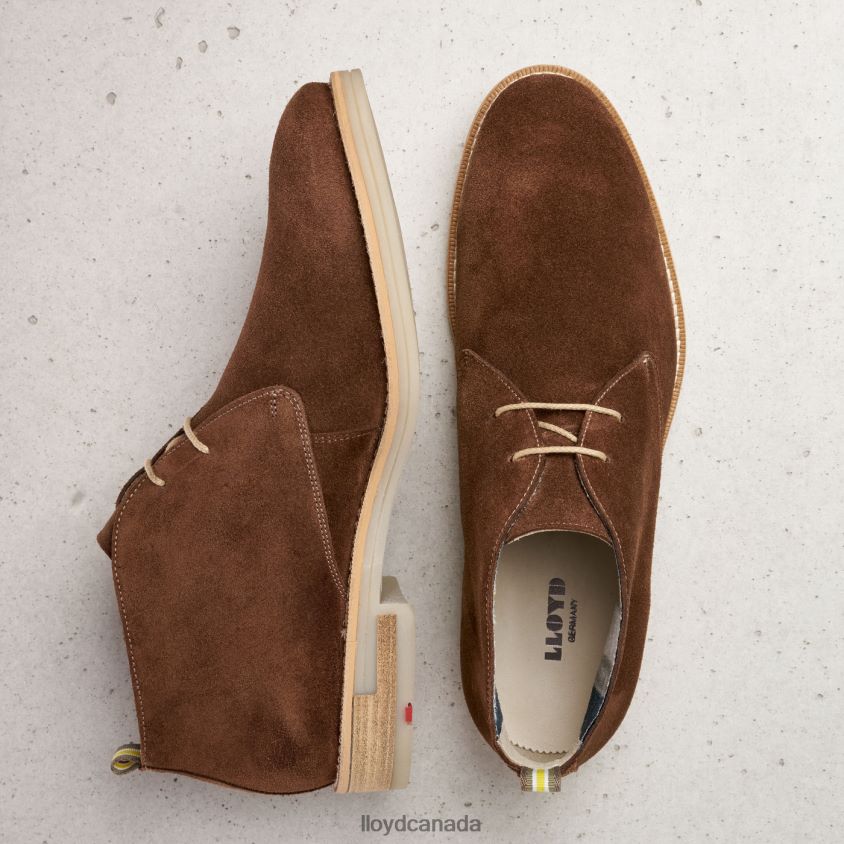 DARIUS LLOYD Men brown R084ZF559 Shoes