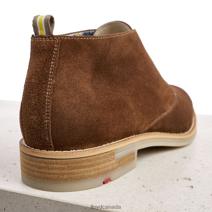 DARIUS LLOYD Men brown R084ZF559 Shoes