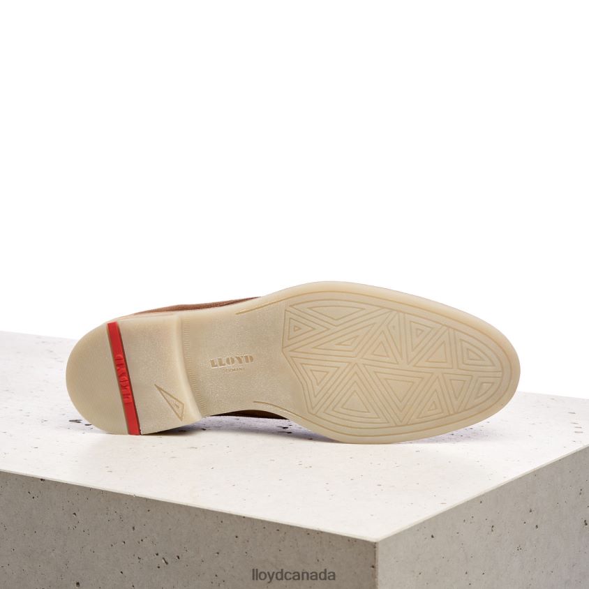 DARIUS LLOYD Men brown R084ZF559 Shoes