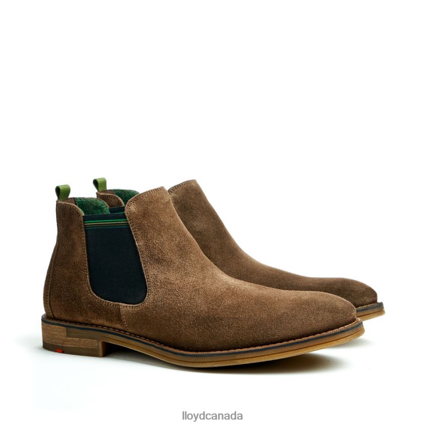 DARRY LLOYD Men brown R084ZF457 Shoes