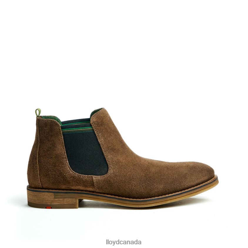 DARRY LLOYD Men brown R084ZF457 Shoes