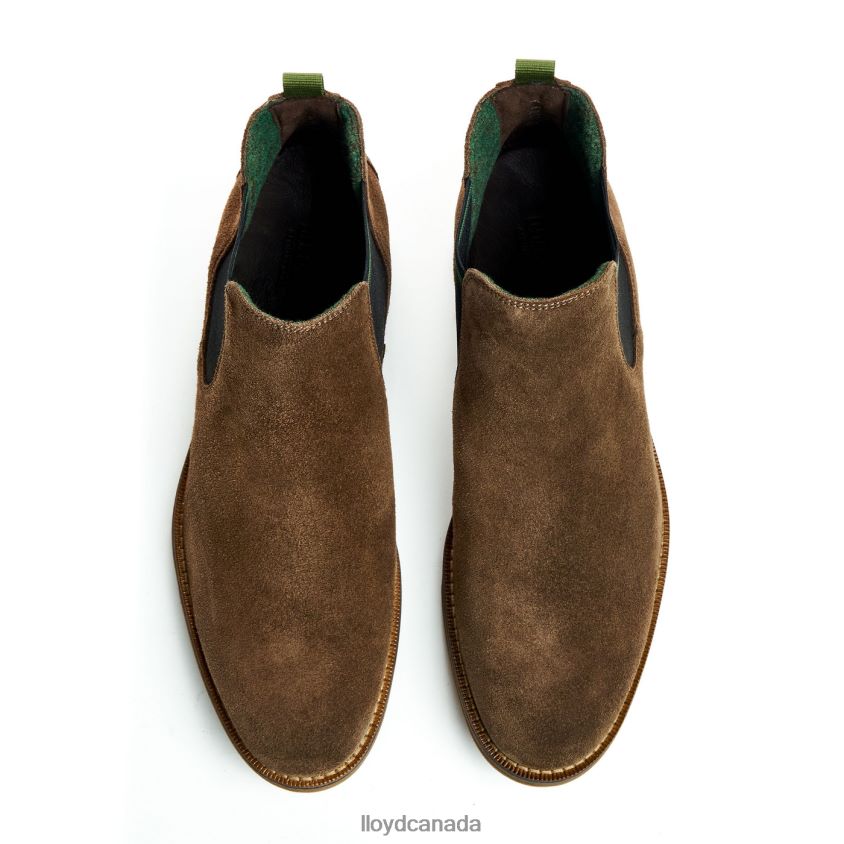 DARRY LLOYD Men brown R084ZF457 Shoes