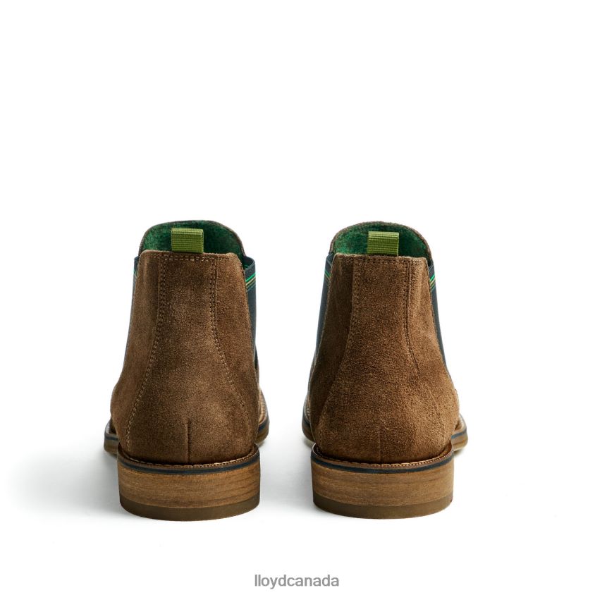 DARRY LLOYD Men brown R084ZF457 Shoes