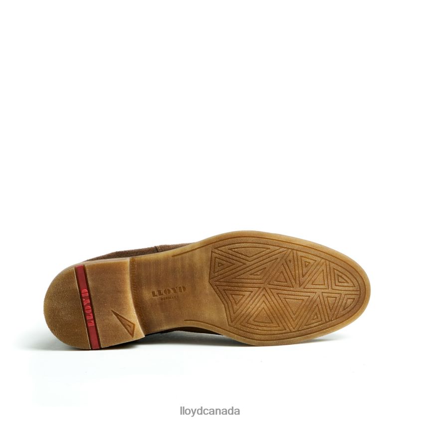 DARRY LLOYD Men brown R084ZF457 Shoes