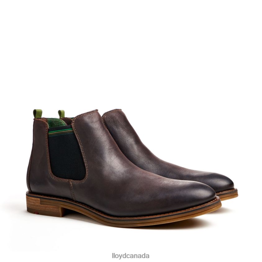 DARRY LLOYD Men brown R084ZF459 Shoes