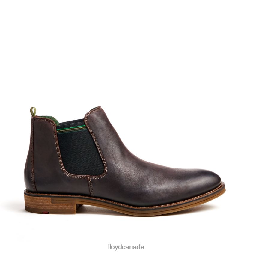 DARRY LLOYD Men brown R084ZF459 Shoes