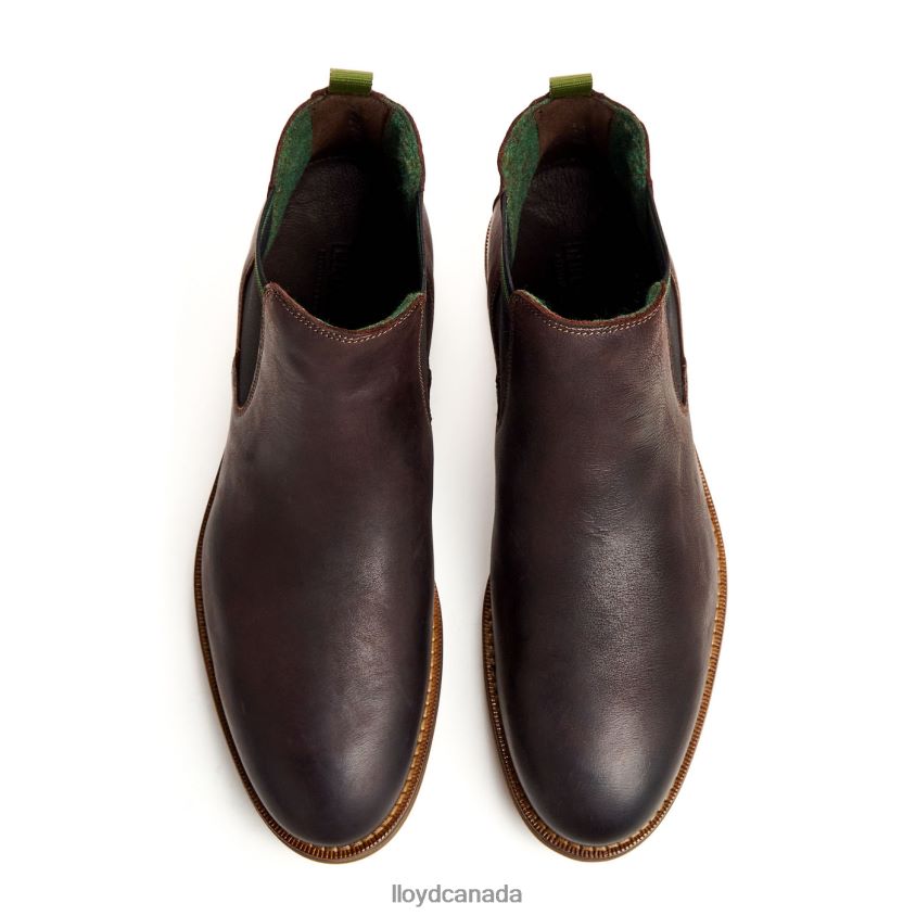DARRY LLOYD Men brown R084ZF459 Shoes