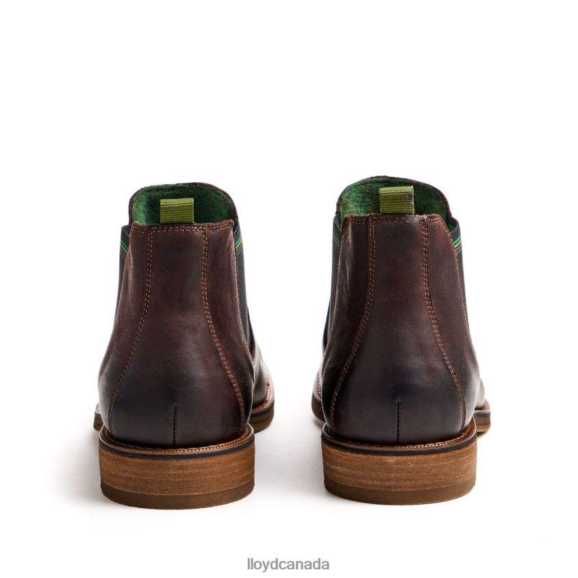 DARRY LLOYD Men brown R084ZF459 Shoes