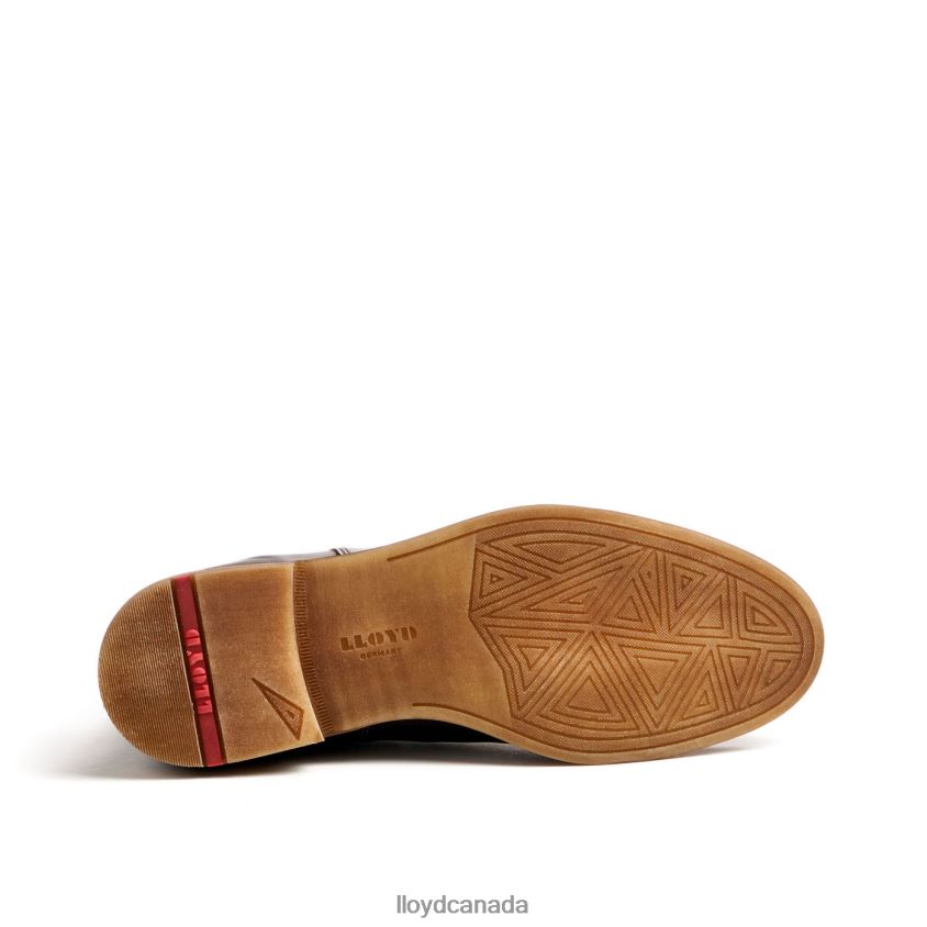 DARRY LLOYD Men brown R084ZF459 Shoes