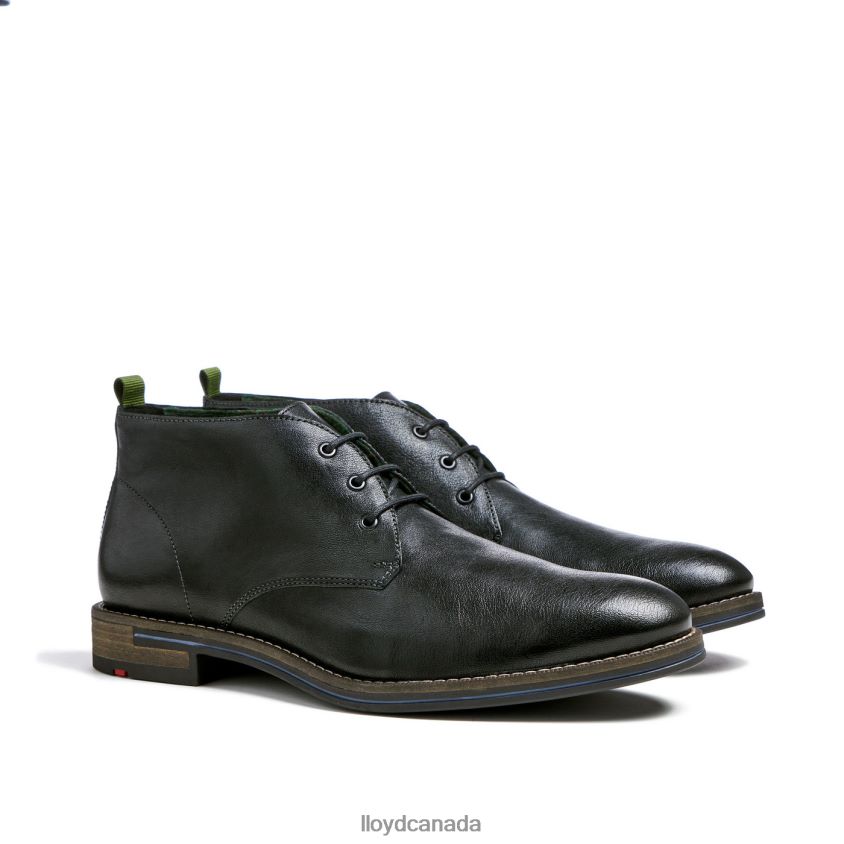 DARTMOOR LLOYD Men black R084ZF458 Shoes
