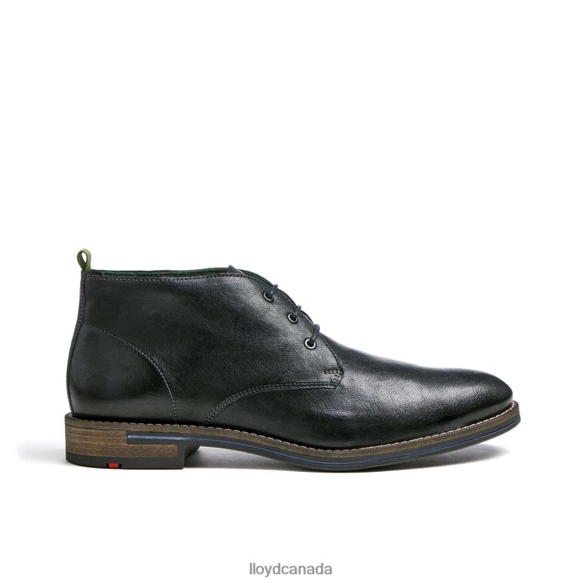 DARTMOOR LLOYD Men black R084ZF458 Shoes