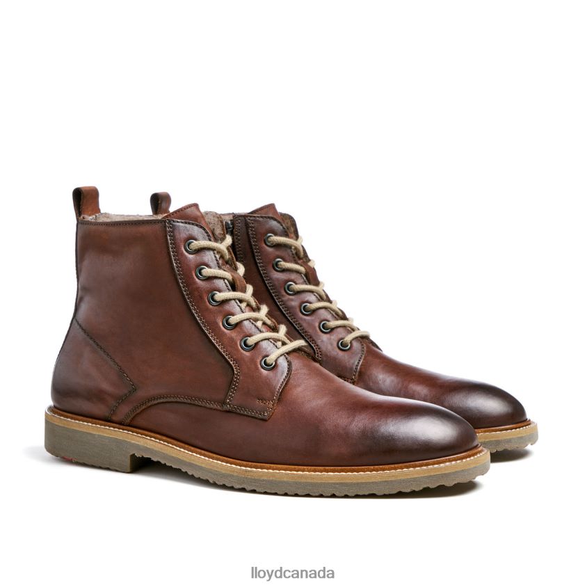 DARWIN LLOYD Men brown R084ZF475 Shoes