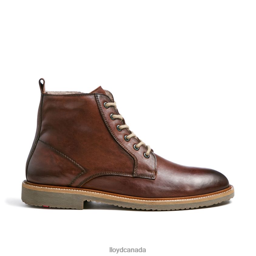 DARWIN LLOYD Men brown R084ZF475 Shoes