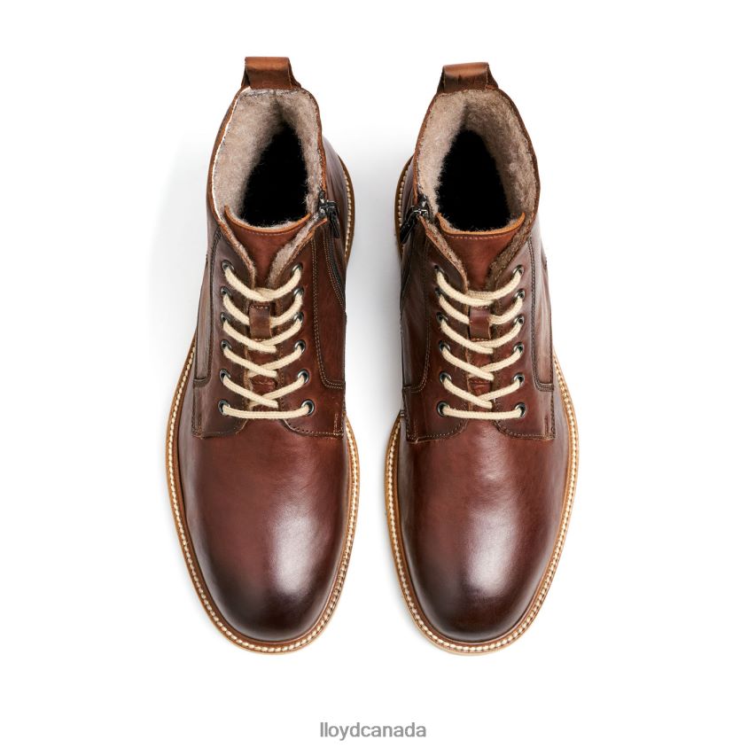 DARWIN LLOYD Men brown R084ZF475 Shoes