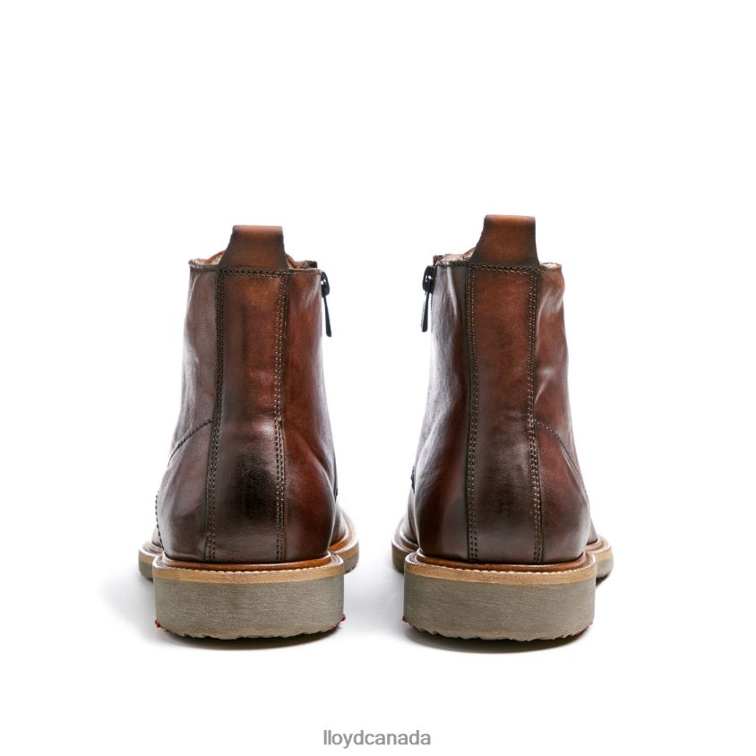 DARWIN LLOYD Men brown R084ZF475 Shoes