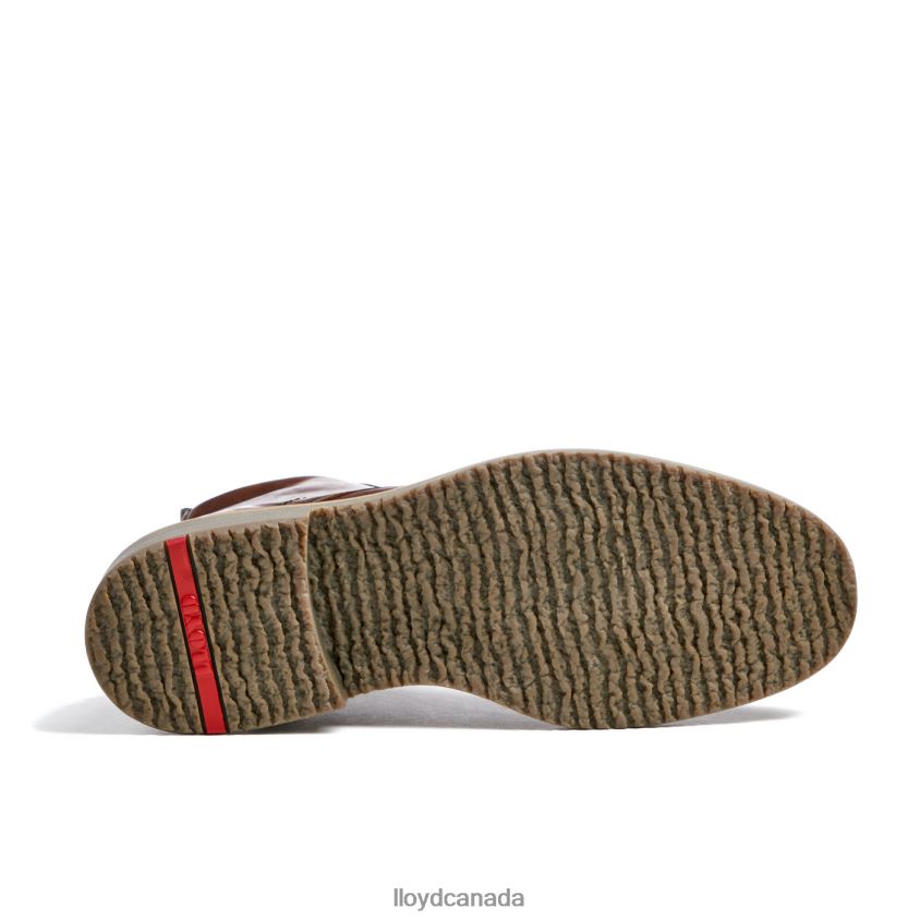 DARWIN LLOYD Men brown R084ZF475 Shoes