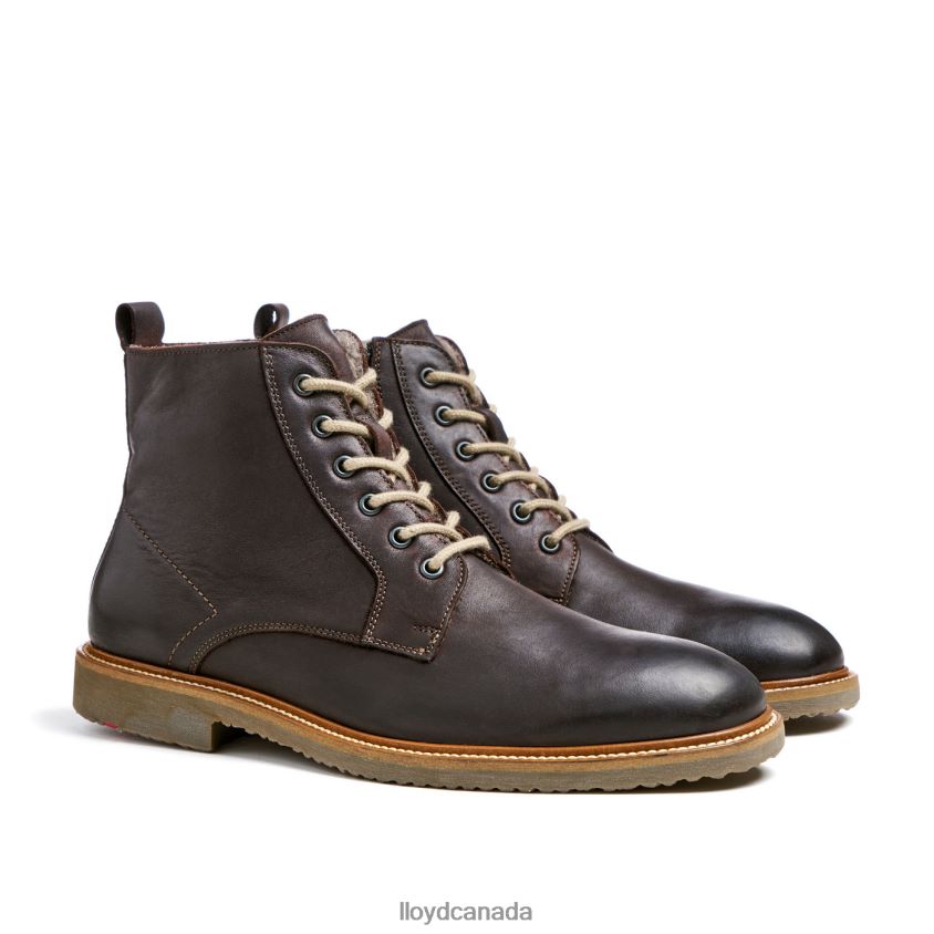 DARWIN LLOYD Men brown R084ZF476 Shoes