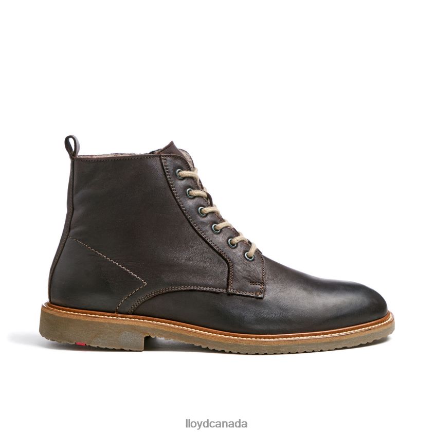 DARWIN LLOYD Men brown R084ZF476 Shoes
