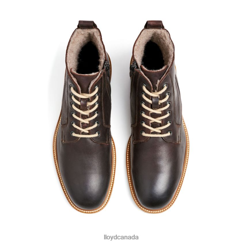 DARWIN LLOYD Men brown R084ZF476 Shoes