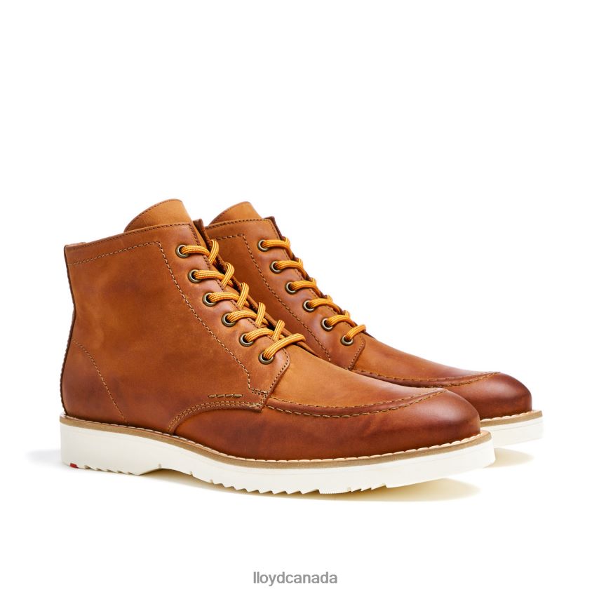 DEBAR LLOYD Men brown R084ZF501 Shoes